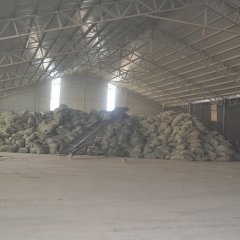 臨沂木粉 臨沂木粉